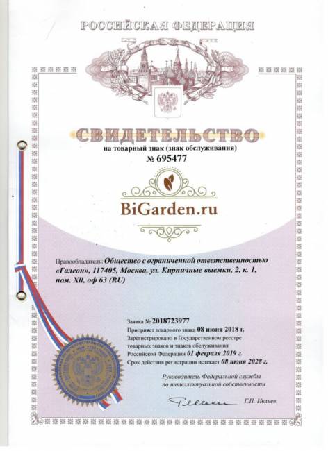 Двойное подвесное кресло "Gemini promo Black BS", без стойки, Зеленая подушка