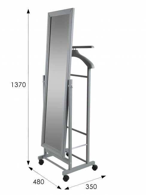 Вешалка костюмная с зеркалом на колесах В 24Н серый Вешалка костюмная с зеркалом на колесах В 24Н серый