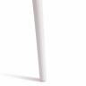 Стул Cat Chair (mod. 028) пластик, 53 x 59 x 82,5 см, белый (White C0057) (Комплект из 2 шт.) белый