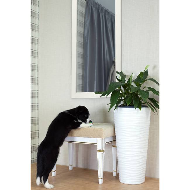 Зеркало настенное BeautyStyle 11 белый 118 см х 60,6 см Зеркало настенное BeautyStyle 11 белый 118 см х 60,6 см